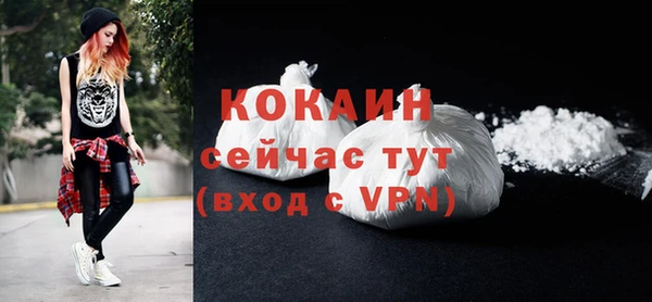 бошки Коряжма
