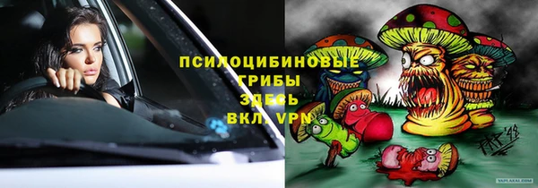 спайс Корсаков
