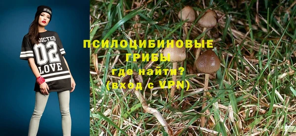 спайс Корсаков
